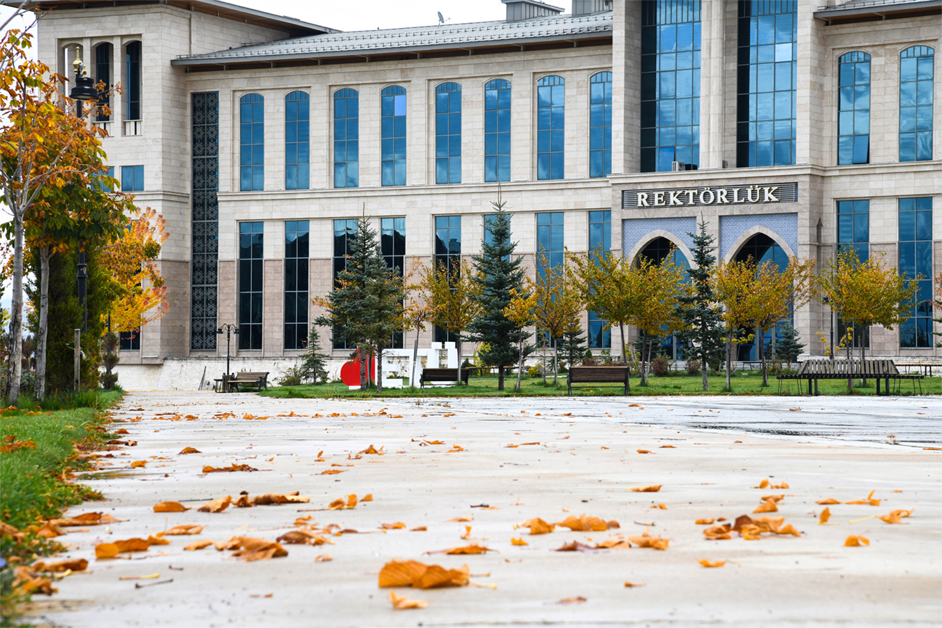 Fotoğraf