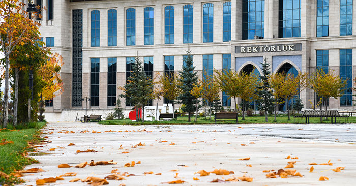 Fotoğraf